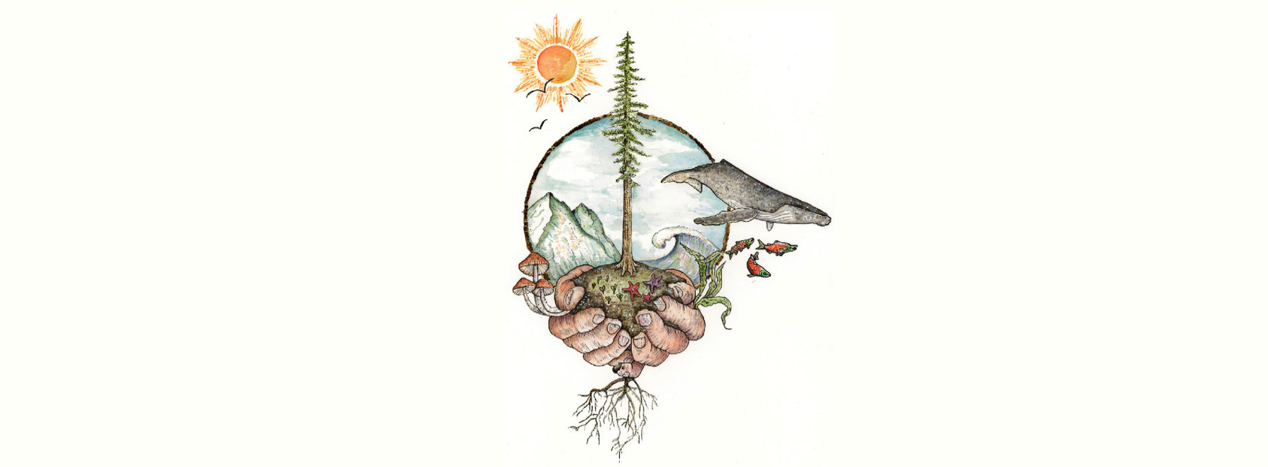 Removing Single Use Plastics from our Mountains, Streams, Oceans & Landfills