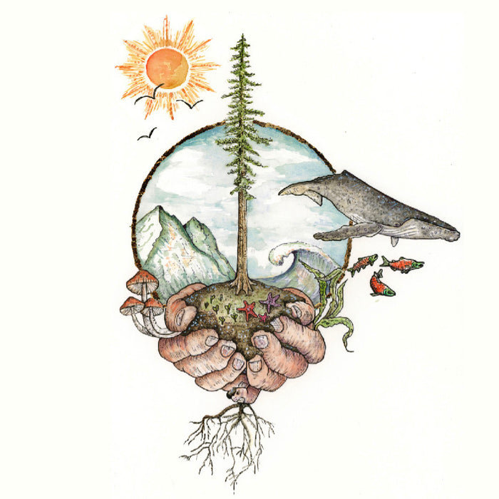 Removing Single Use Plastics from our Mountains, Streams, Oceans & Landfills